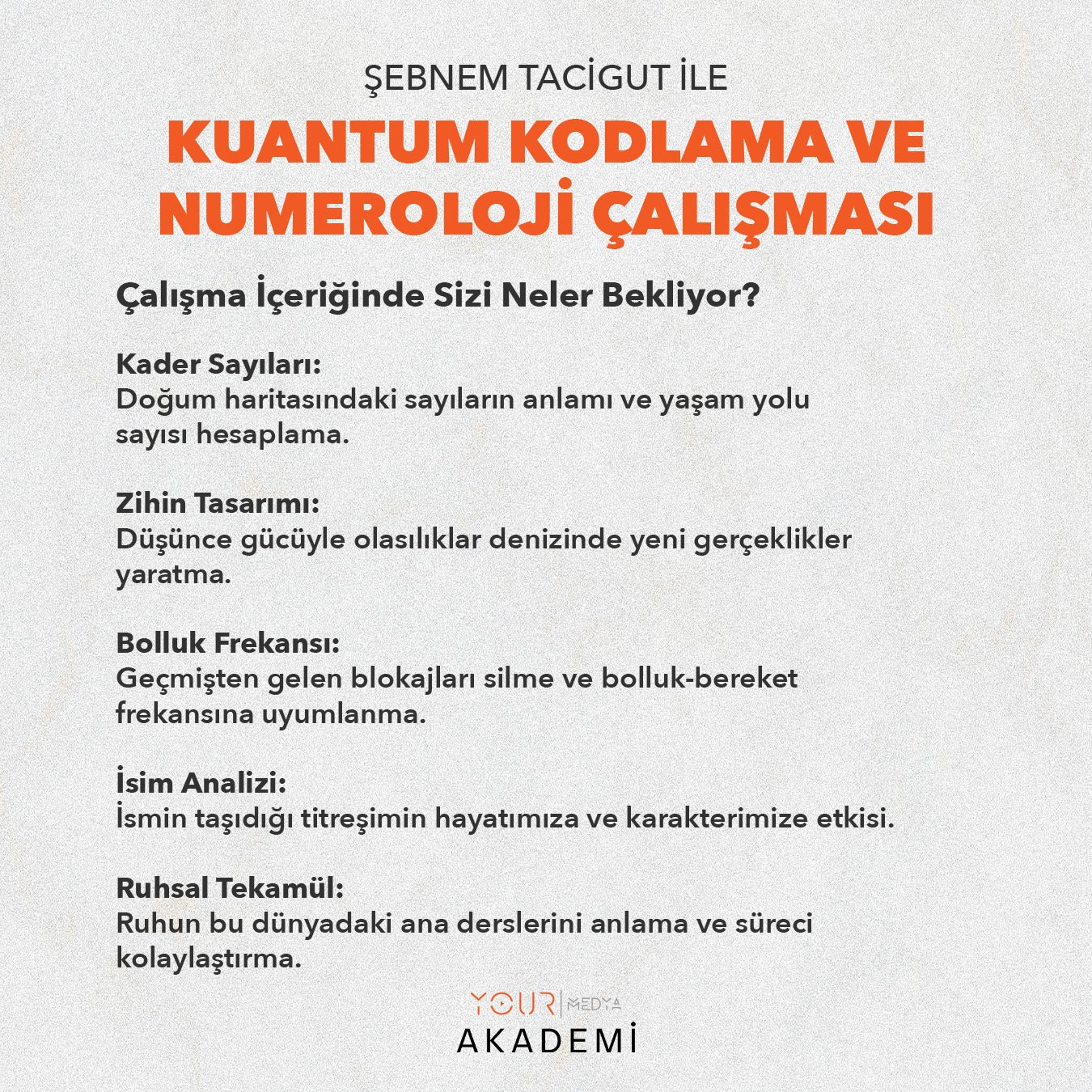 KUANTUM KODLAMA VE NUMEROLOJİ ÇALIŞMASI - ŞEBNEM TACİGUT - ONLİNE