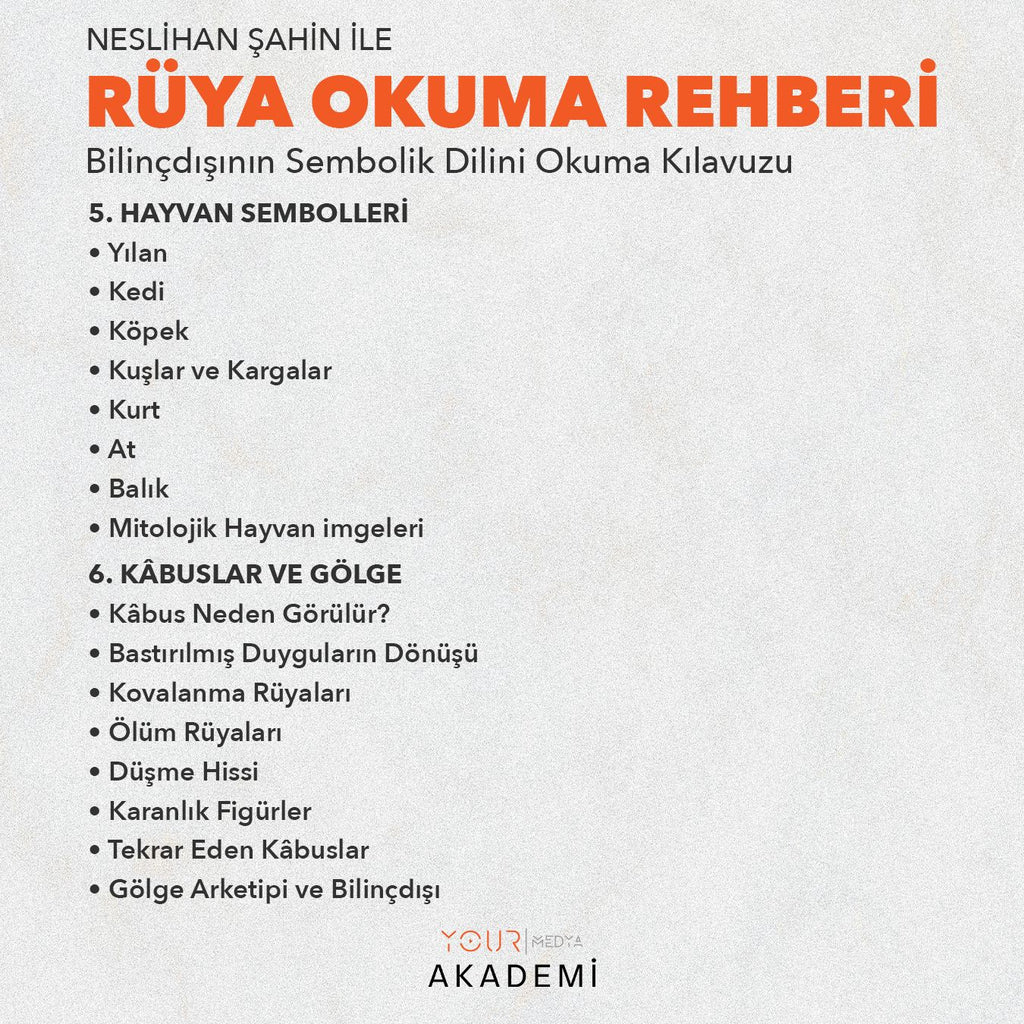 RÜYA OKUMA REHBERİ: BİLİNÇDIŞININ SEMBOLİK DİLİNİ OKUMA KILAVUZU - NESLİHAN ŞAHİN (PDF)